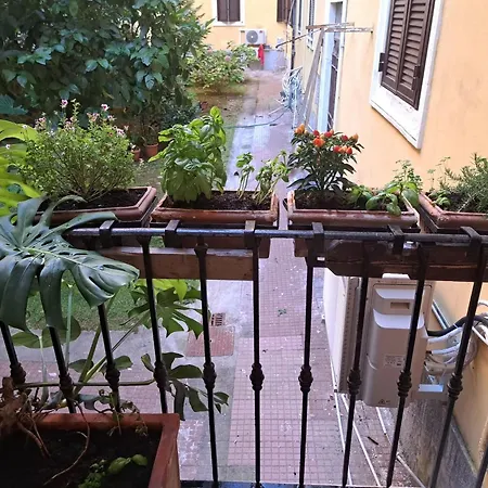 Ottaviano Style * Roma
